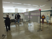 作品展示