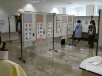 作品展示-338
